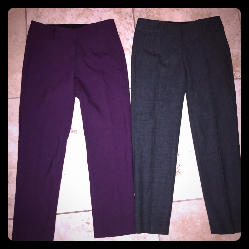 Petite LOFT Marisa Dress Pant Bundle
